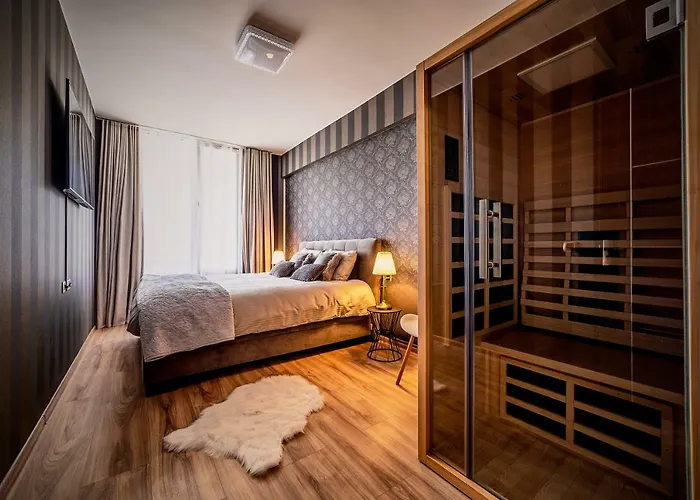 公寓 Penthouse Chic By Landev 布拉索夫